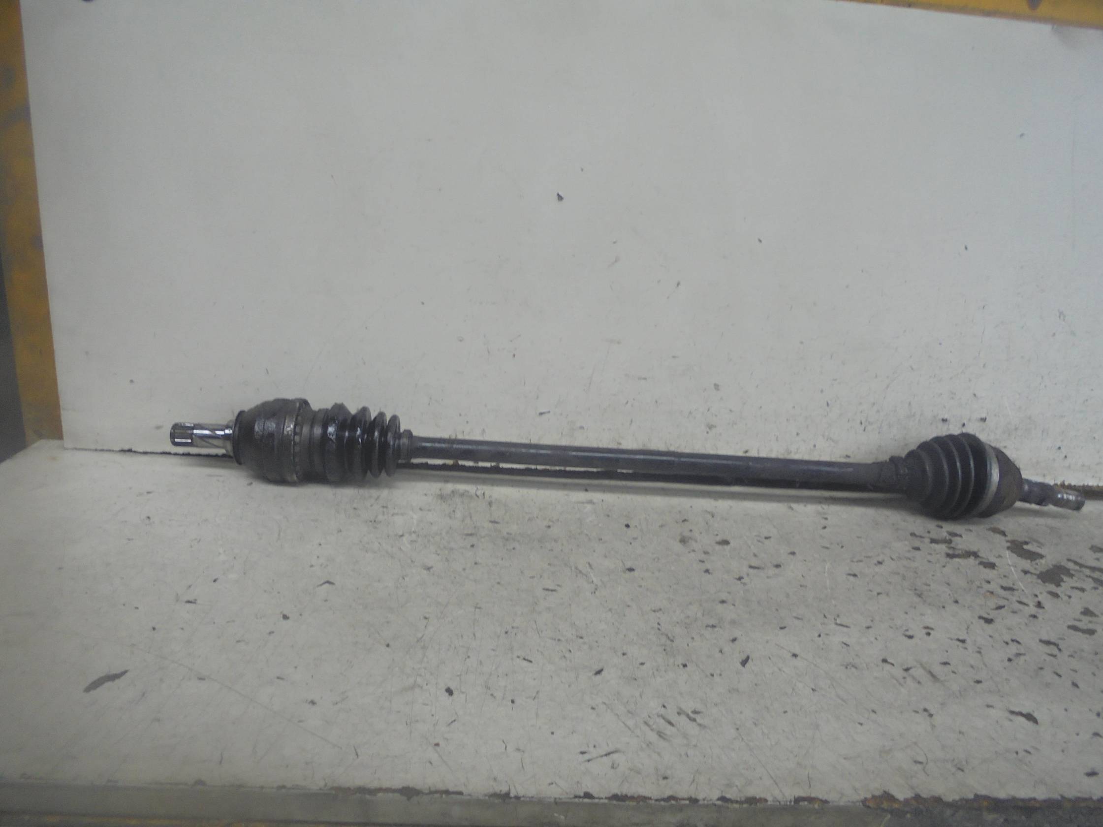 Semialbero ant. compl. dx.